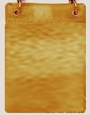 Load image into Gallery viewer, CHIC547 - VARIOUS COLORS