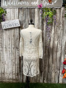 Long Sleeved Sheered Laced Crème Mini Dress