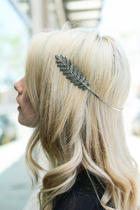A Crown of Feathers